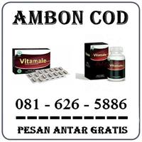 { 081222732110 } Jual Obat Vitamale Di Ambon Original logo