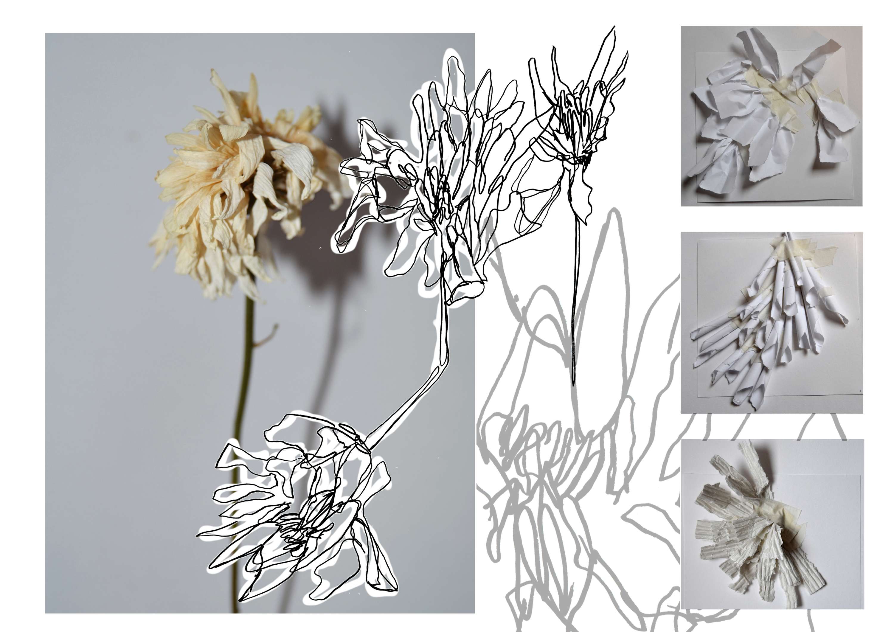 Perennial Bliss by Kezia Rosenberg