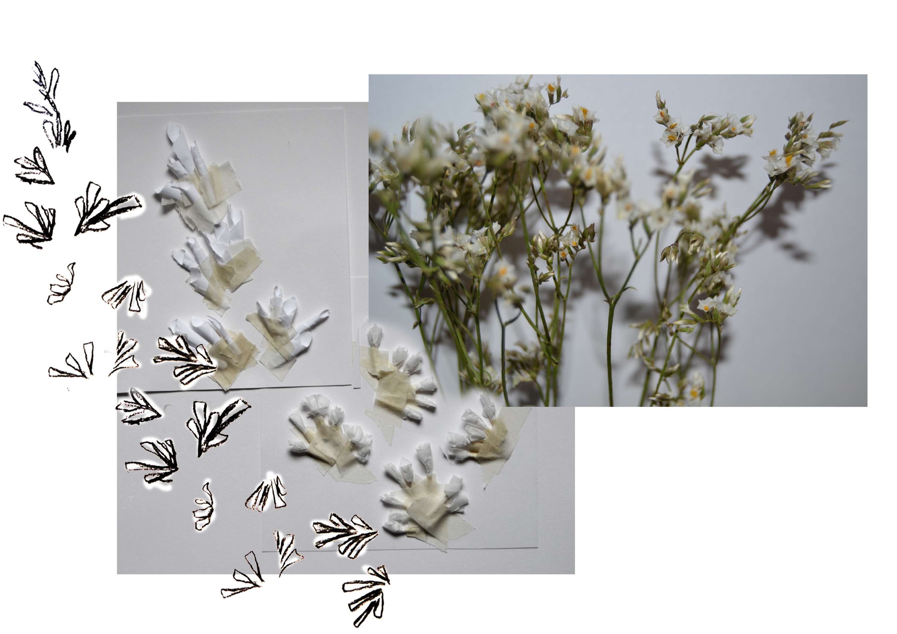 Perennial Bliss by Kezia Rosenberg