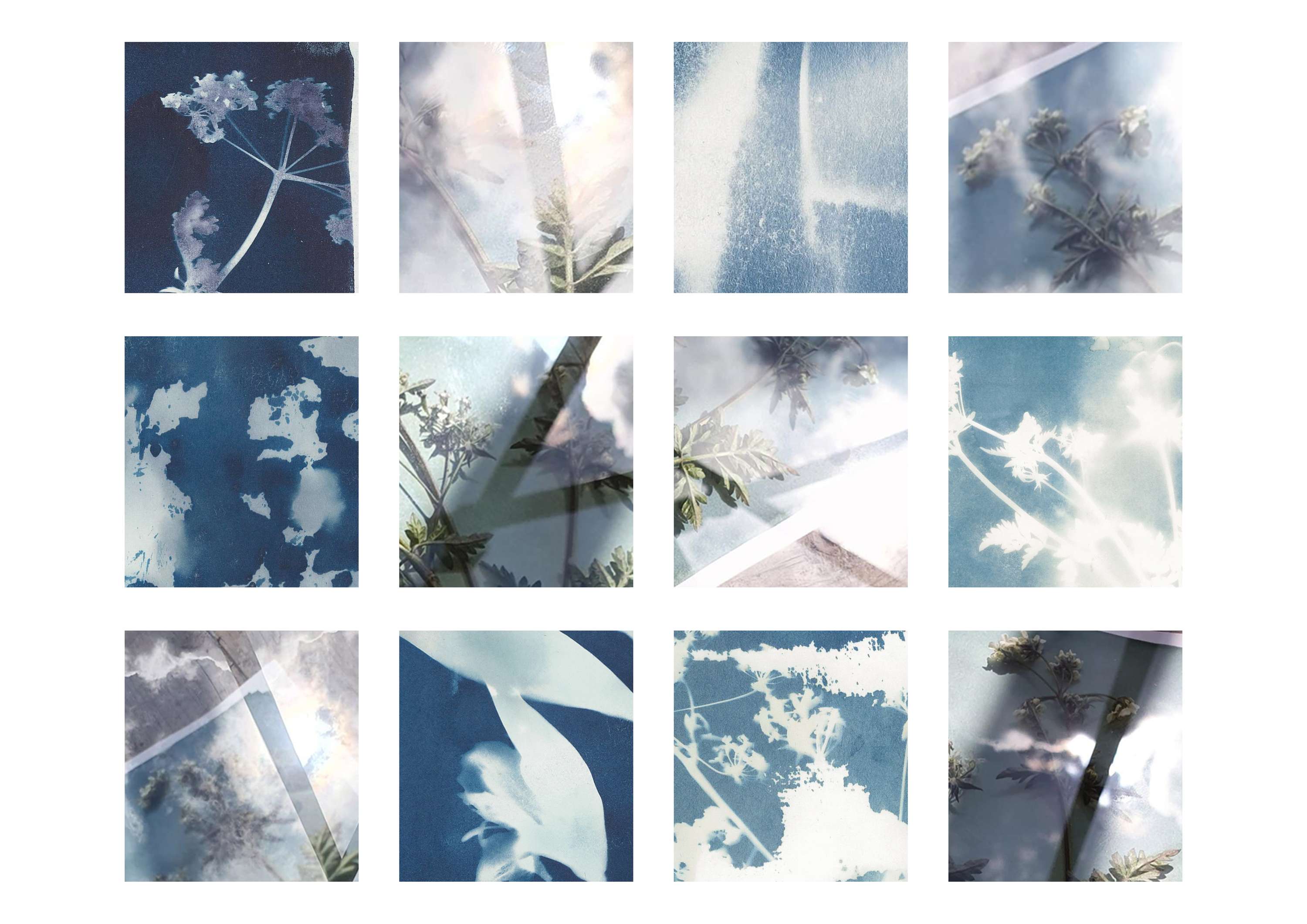 Perennial Bliss by Kezia Rosenberg