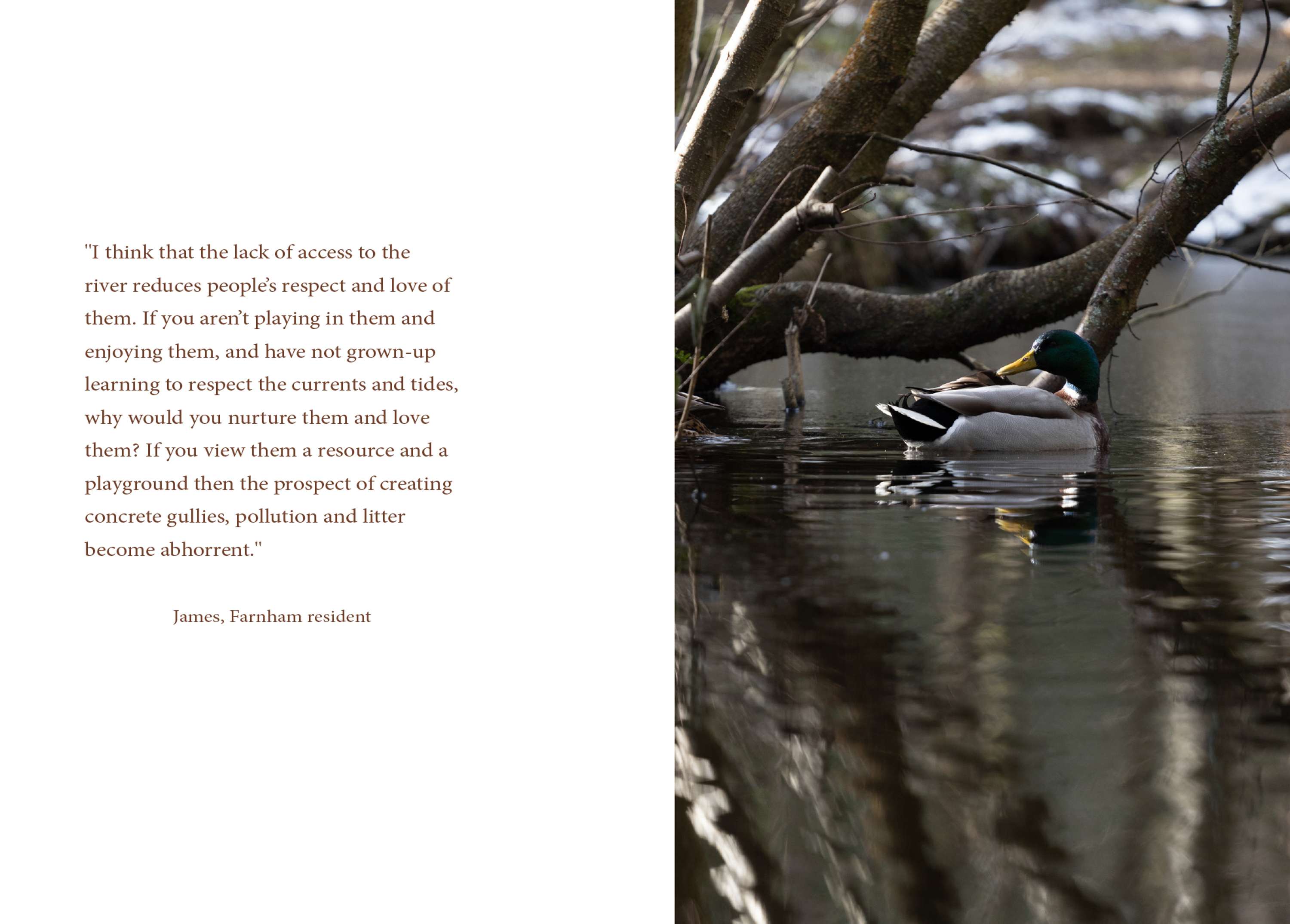 The Way of the Wey by Tamara Lawrence