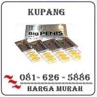 Toko Herbal { 082121380048 } Jual Obat Pembesar Penis Di Kupang logo