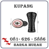 Toko Herbal { 082121380048 } Jual Alat Bantu Pria Vagina Di Kupang logo