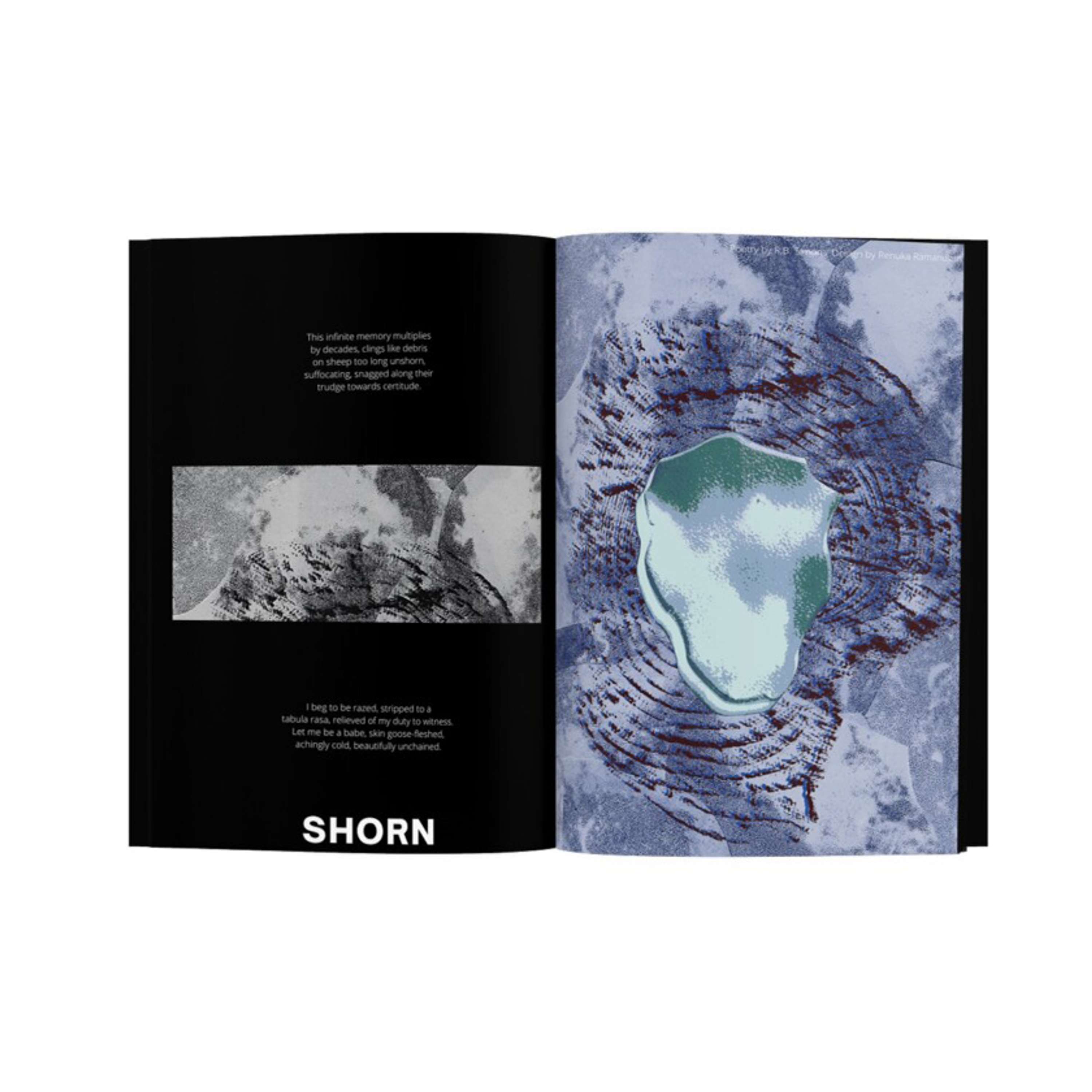 JOURNEY - A visual poetic collaboration with Floresta Mag by MUDRA