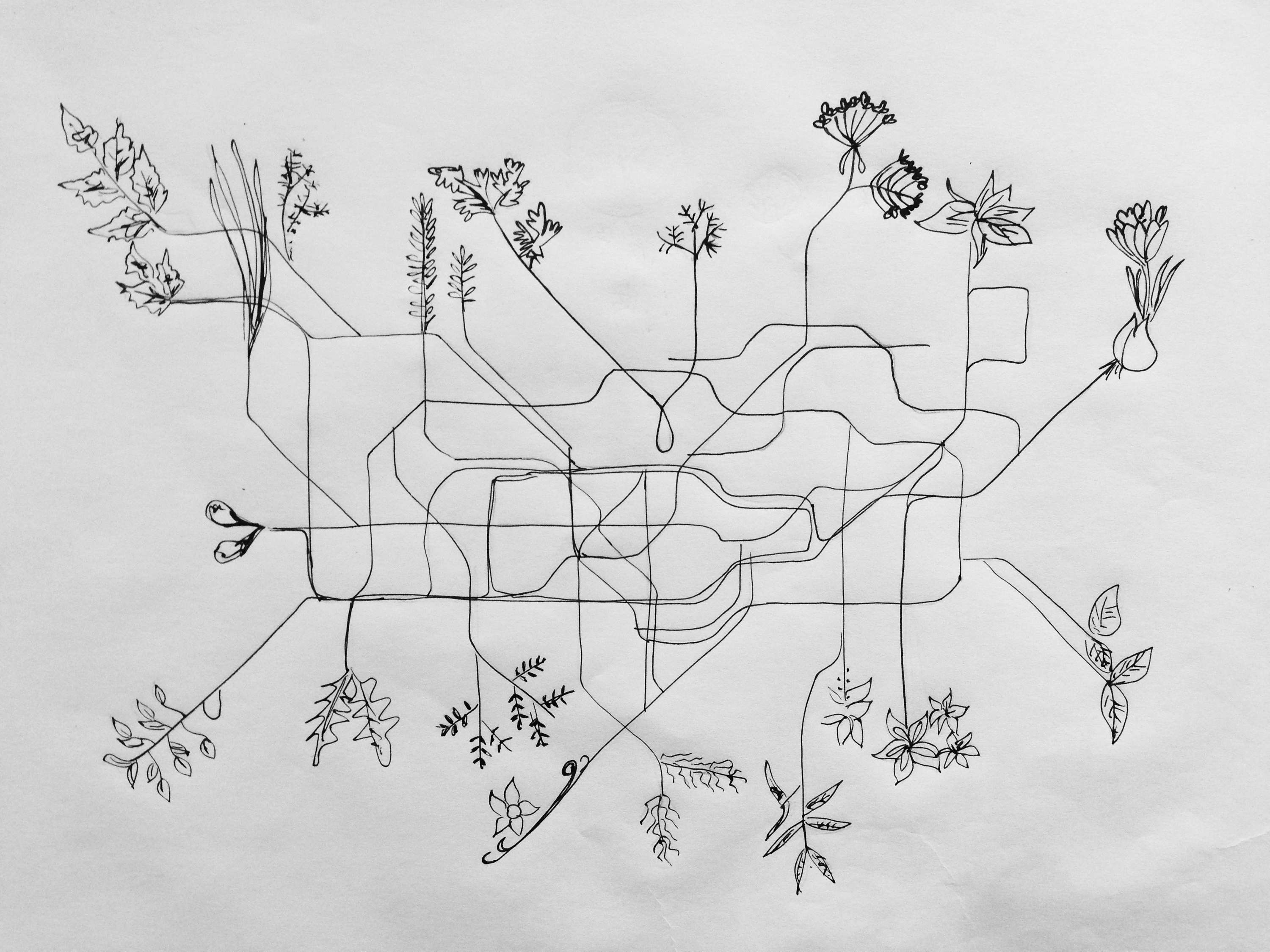 Putting London's foodie scene on the map by Sandra Stroppel