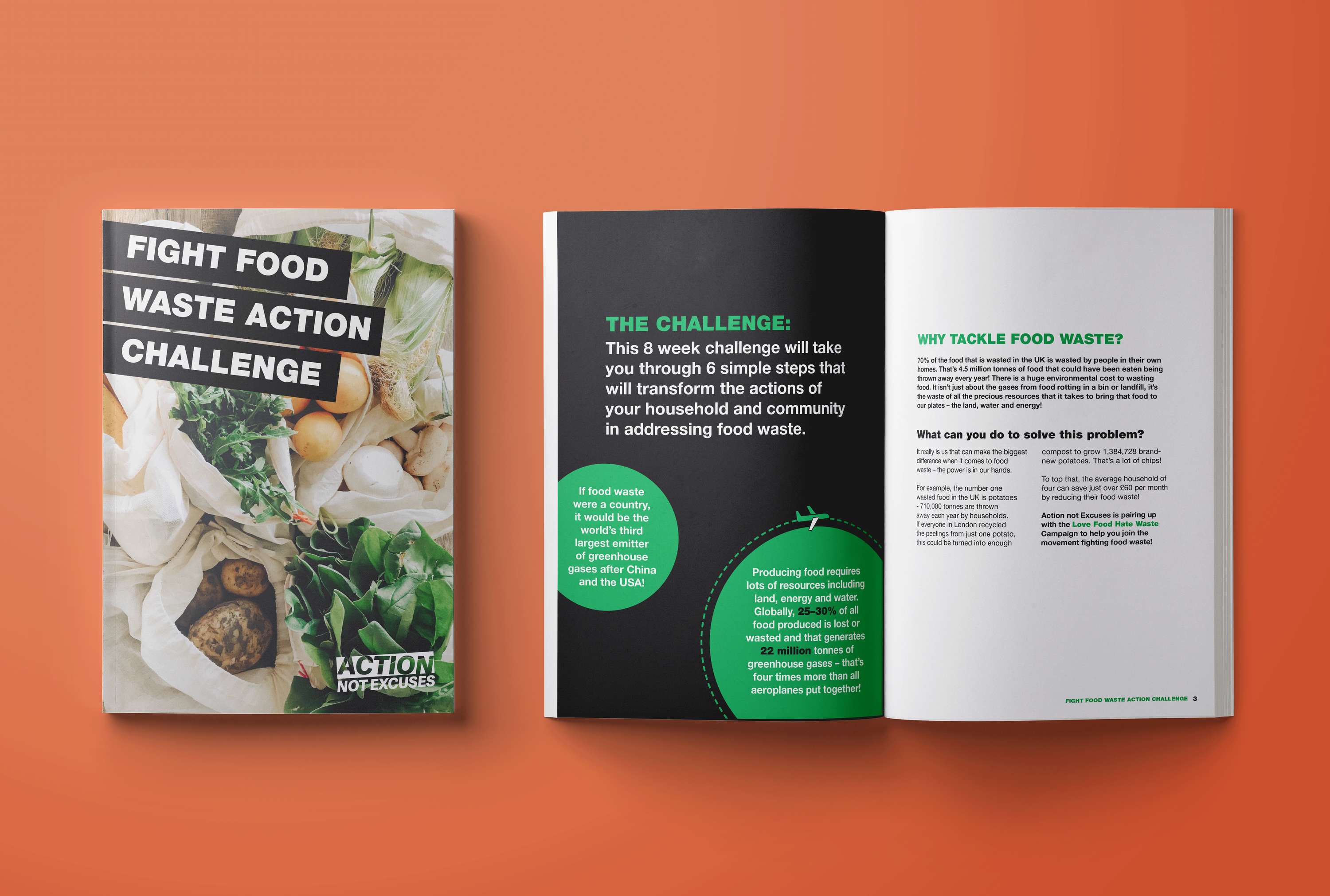 Action Not Excuses Campaign by Emily Coffey