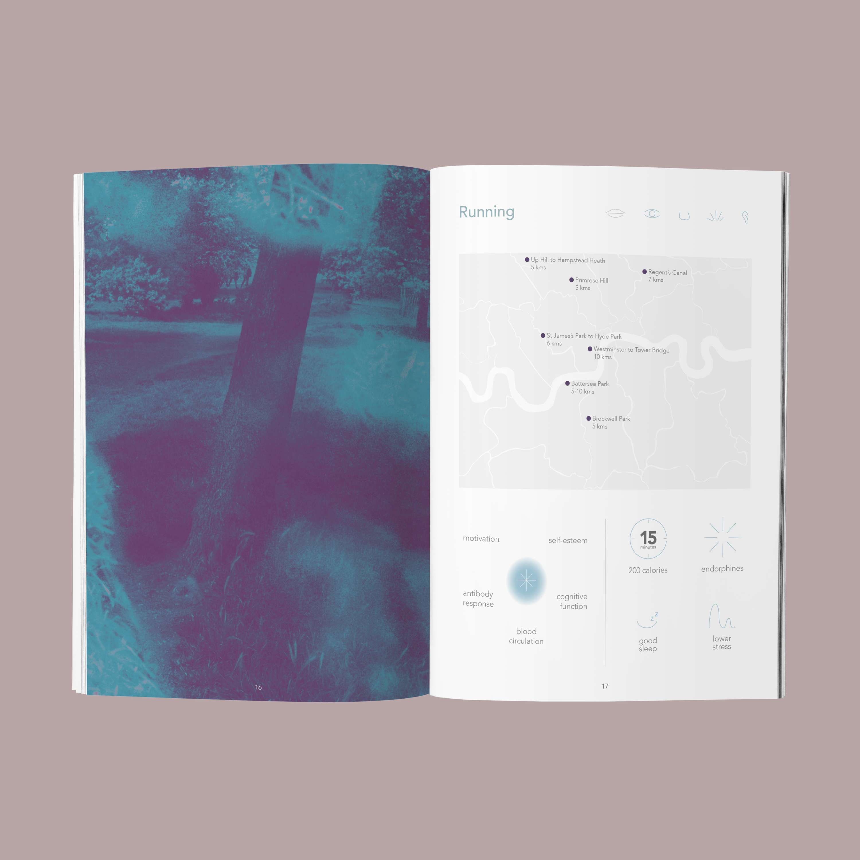 Sentido: A non-typical guide to reconnect by Yanet Palo Sanchez