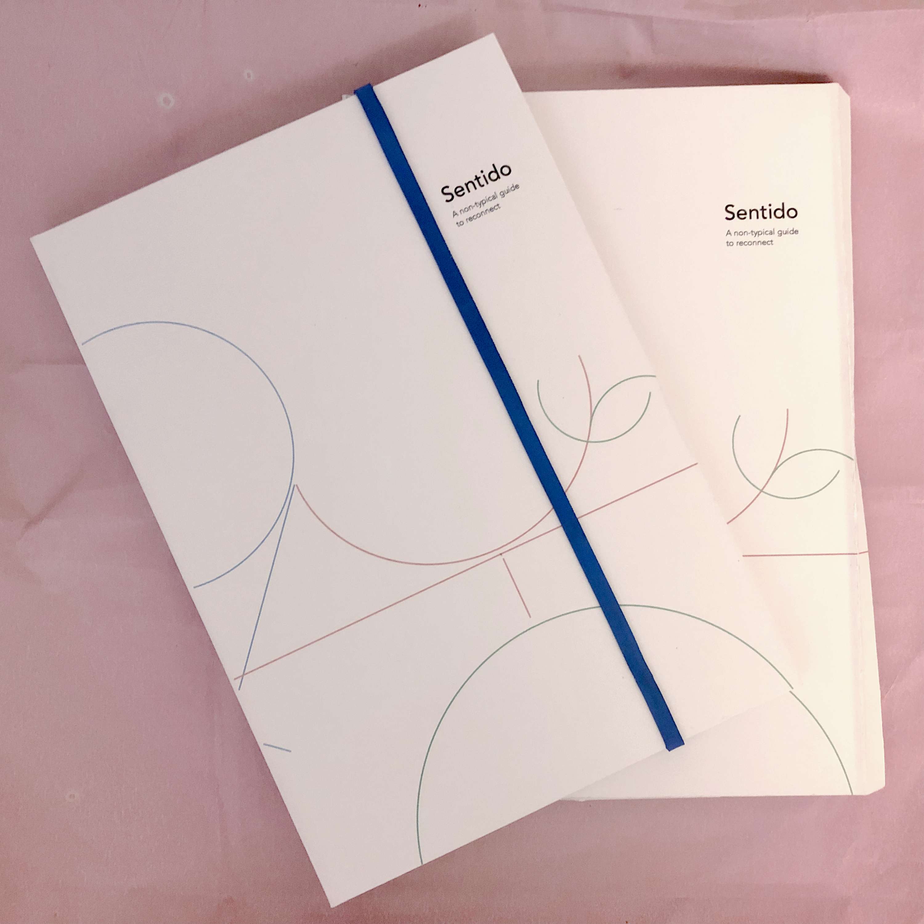 Sentido: A non-typical guide to reconnect by Yanet Palo Sanchez
