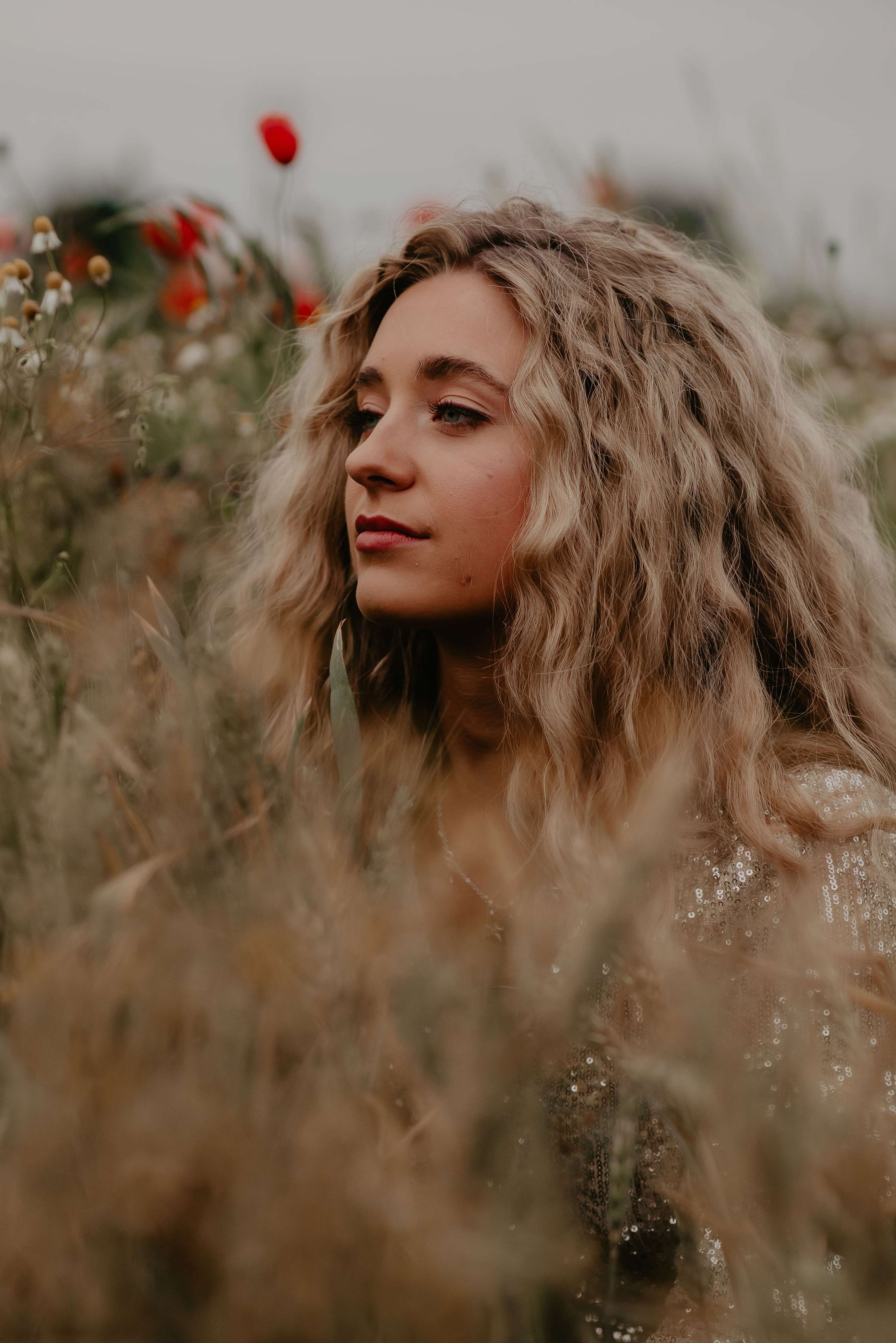 FIELDS OF GOLD by Clare Coleman