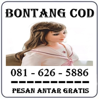 Toko Farmasi { 0816265886 } Jual Boneka Full Body Di Bontang logo