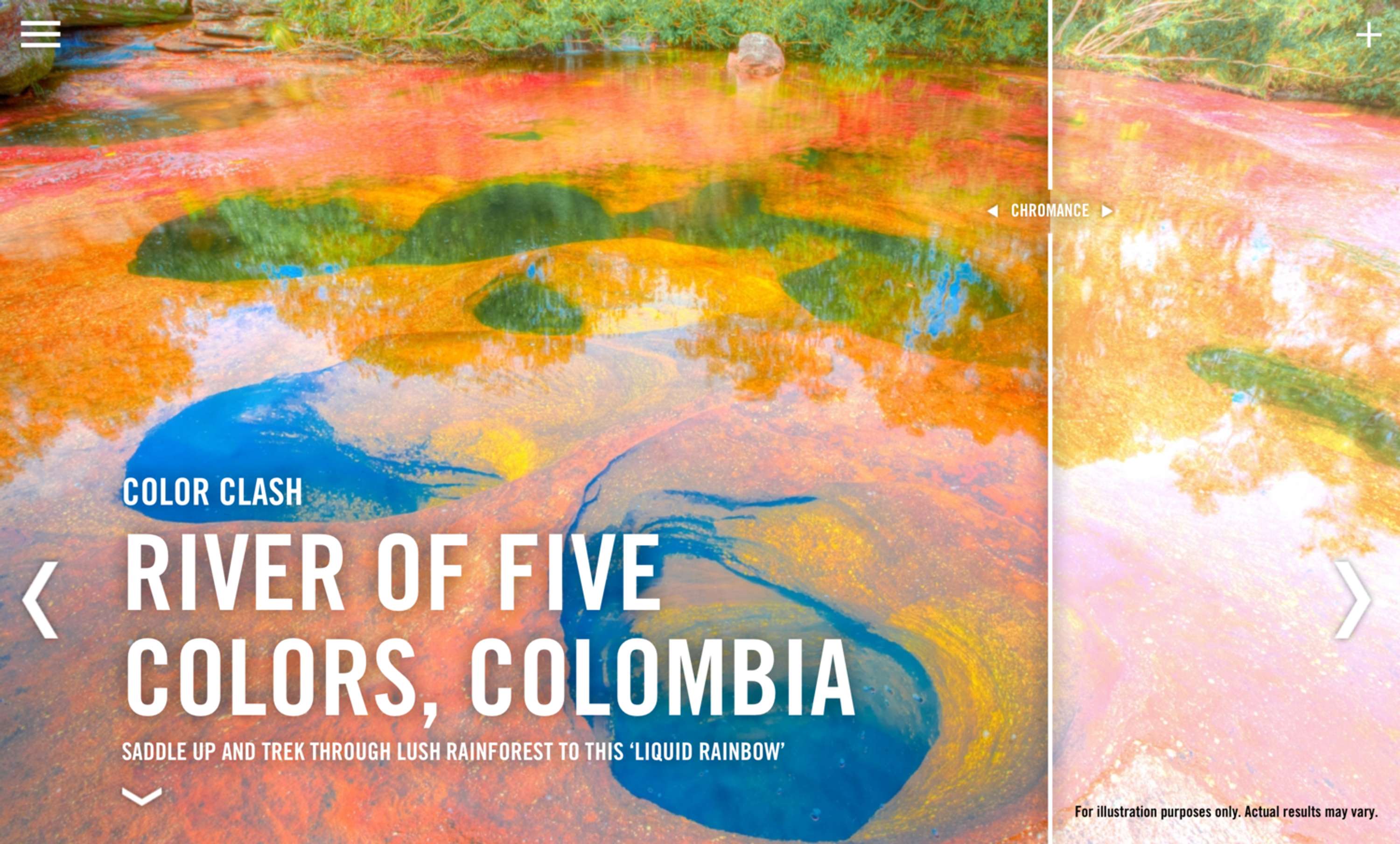 Colour Seekers by Not Actual Size
