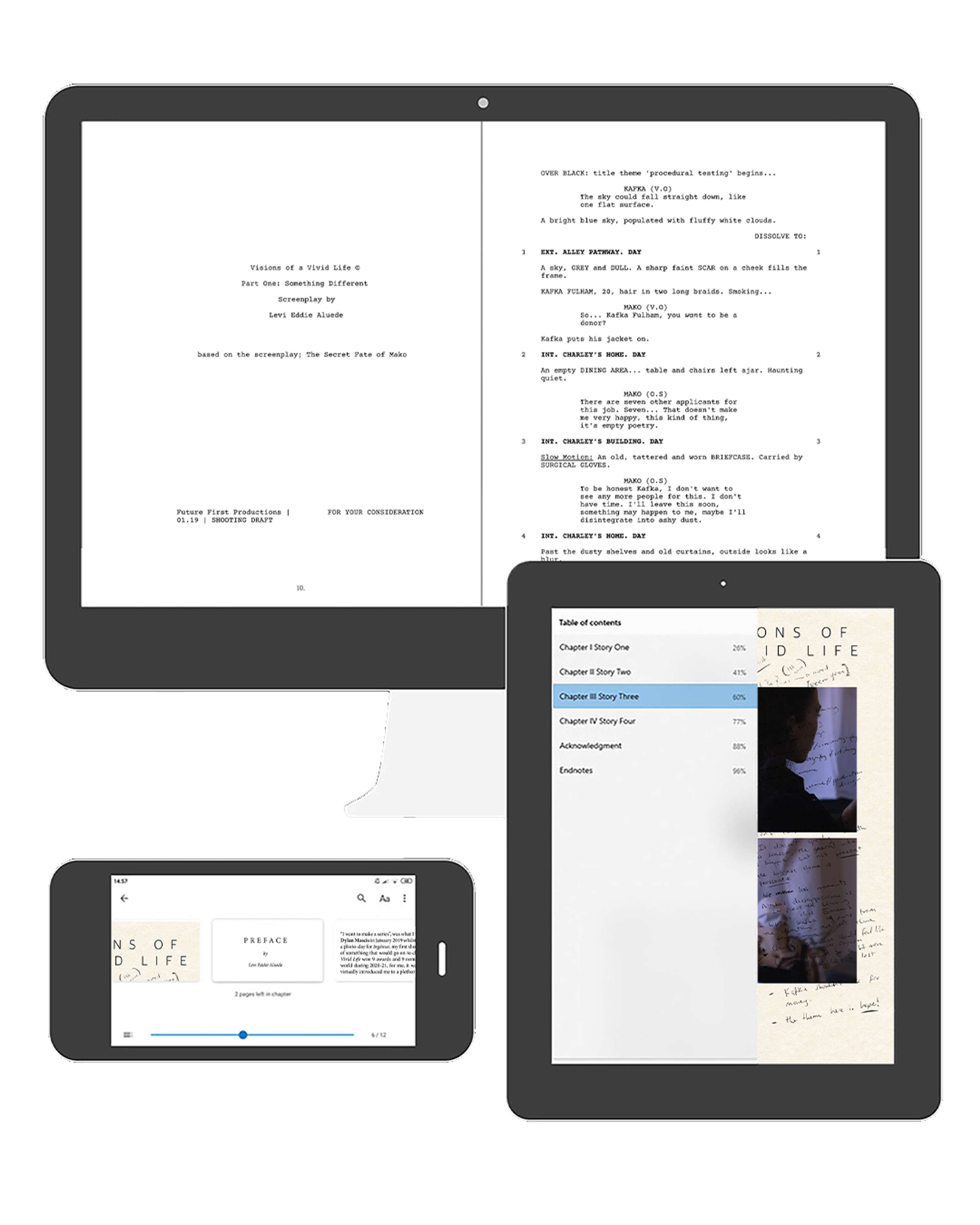 VISIONS OF A VIVID LIFE: Script to Screen by Codie Lu Scott