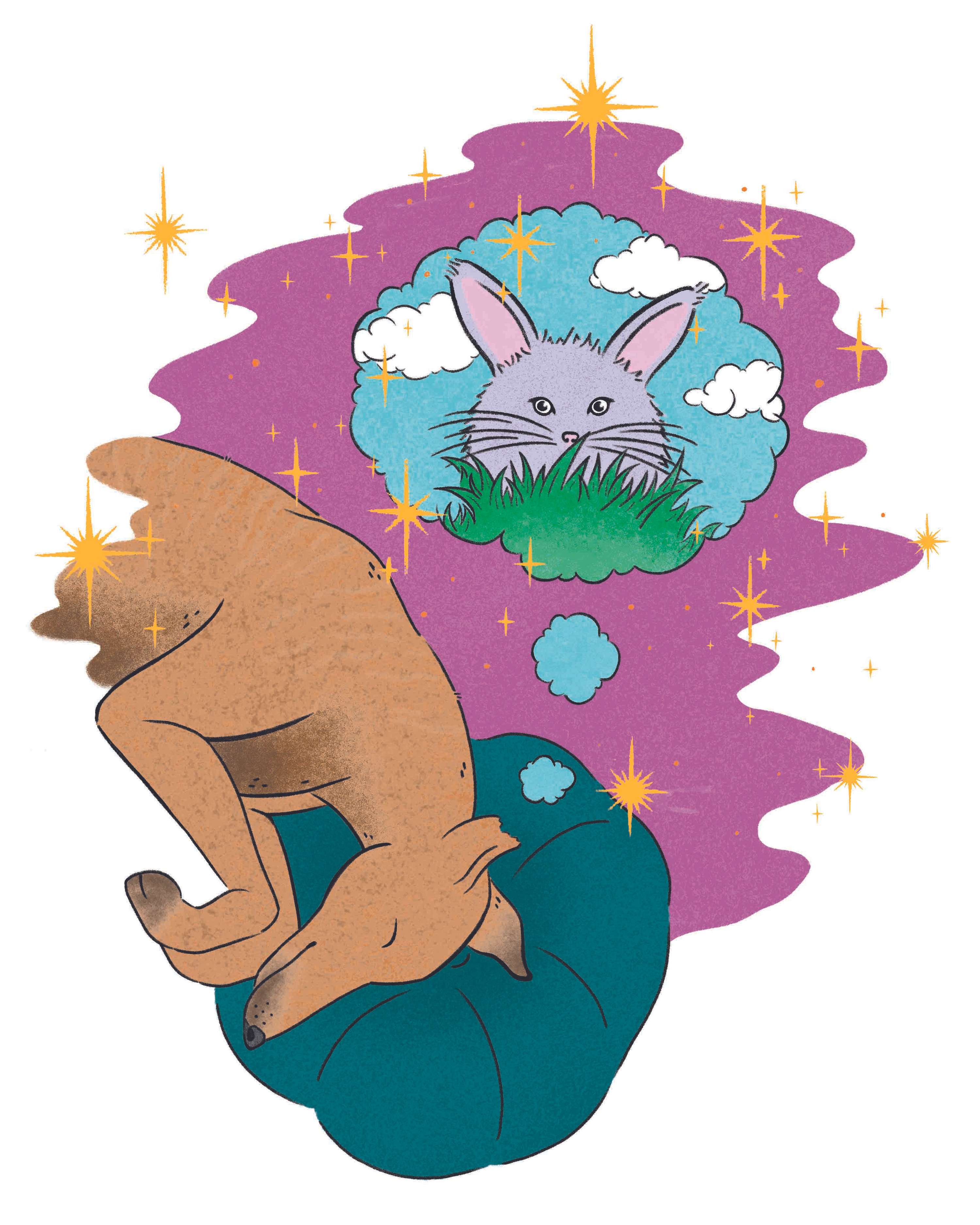 Wunderdog: From Stray to Settled by Elle Sorridente