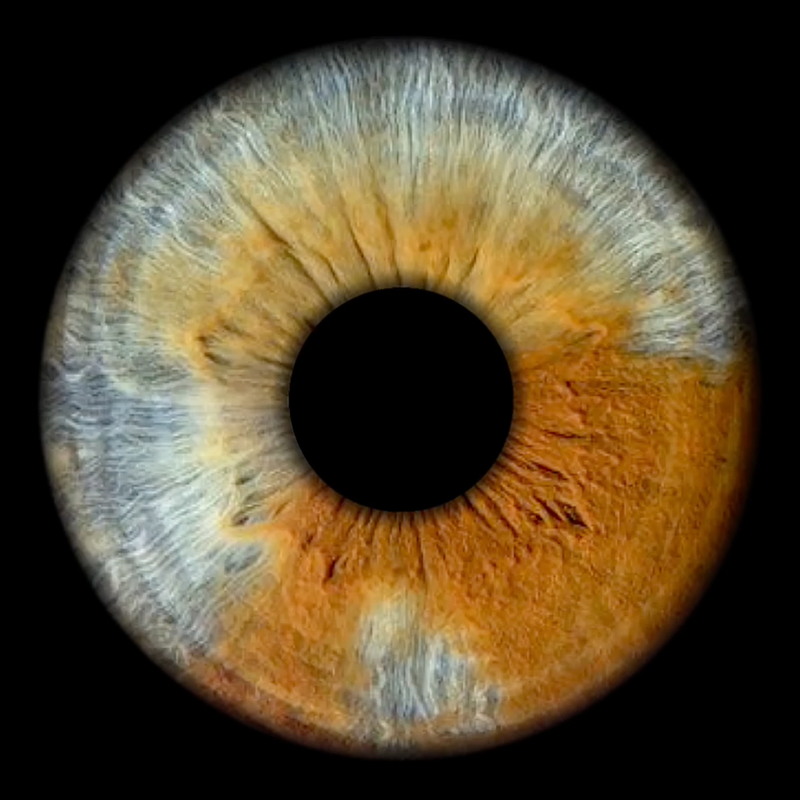 The eyes are windows to the soul by Cummings Twins