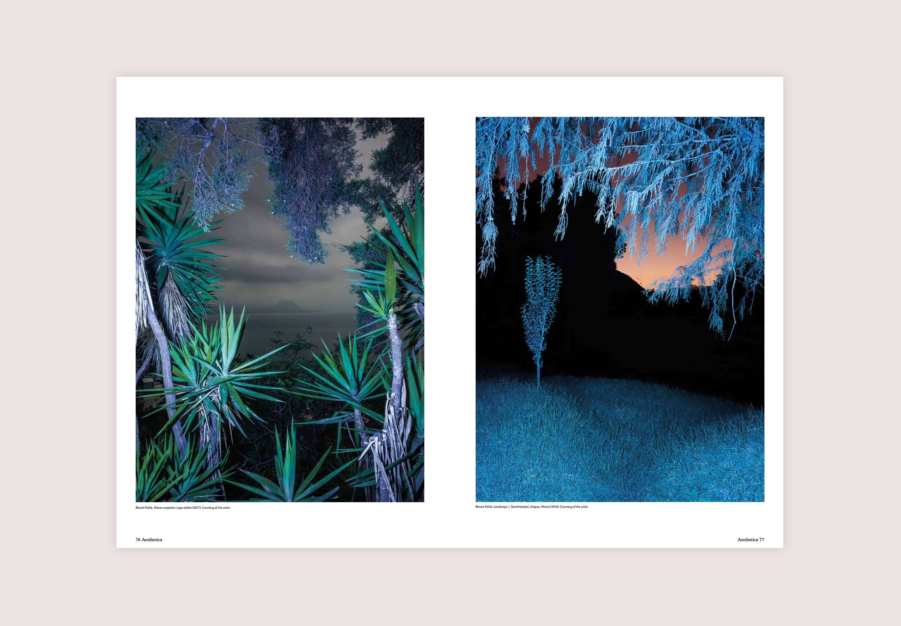 Issue 102: Signs and Symbols by Aesthetica Magazine