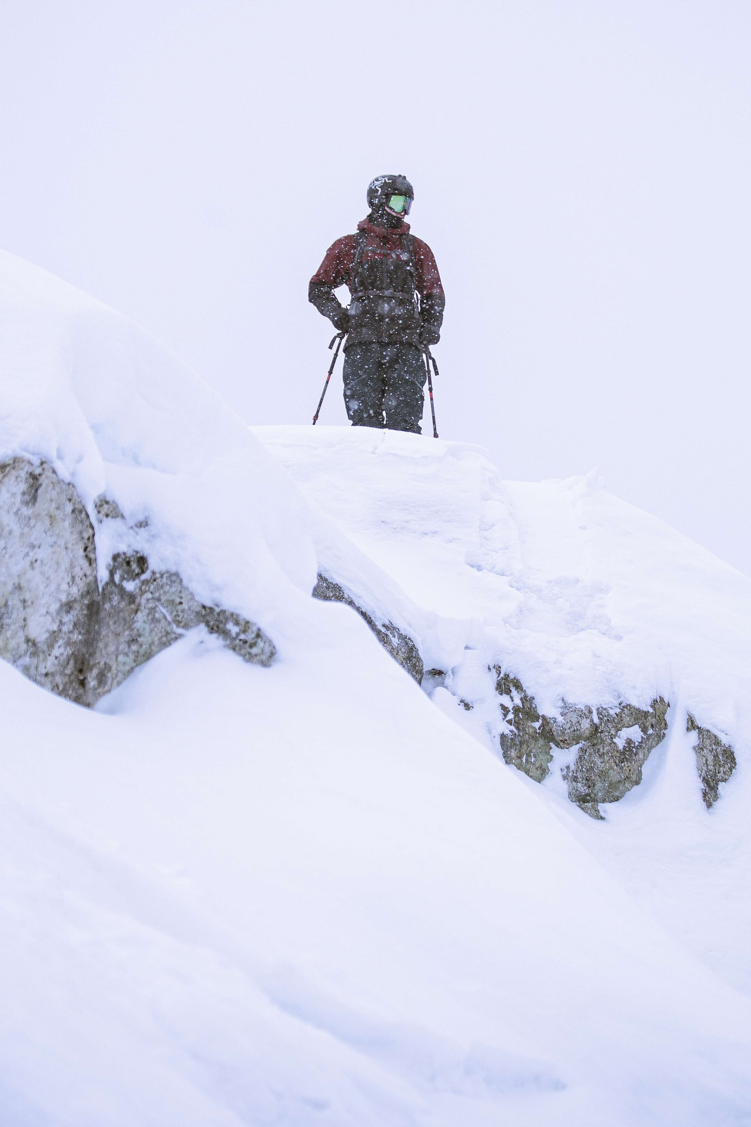 Figures of the Coast Mountains by Ian Synott