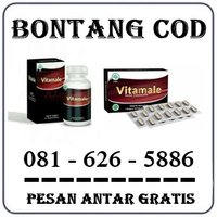 Agen Farmasi { 0816265886 } Jual Vitamale Nf Di Bontang logo
