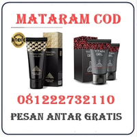 Toko Resmi { 081222732110 } Jual Titan Gel Di Mataram logo