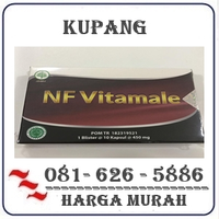 Toko Resmi { 081222732110 } Jual Nf Vitamale Di Kupang logo