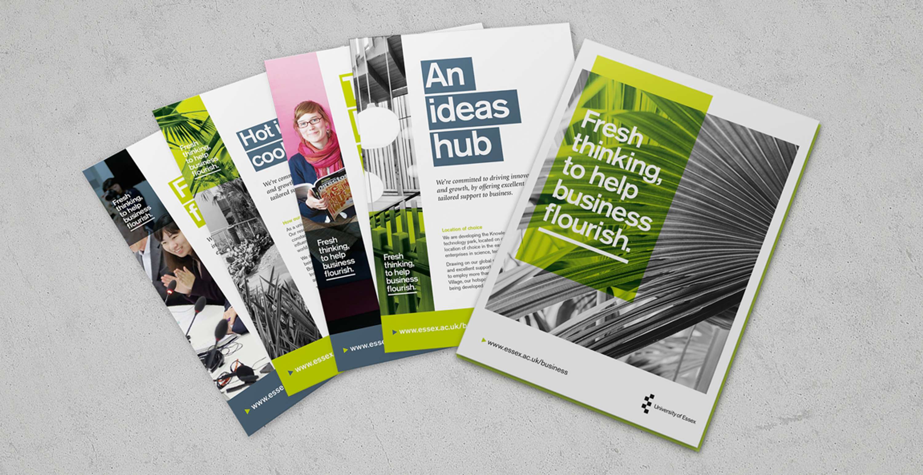University of Essex: Knowledge Gateway by Jack Burley