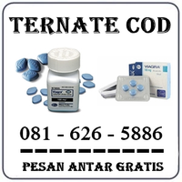 Distributor Resmi { 0816265886 } Jual Obat Viagra Di Ternate logo