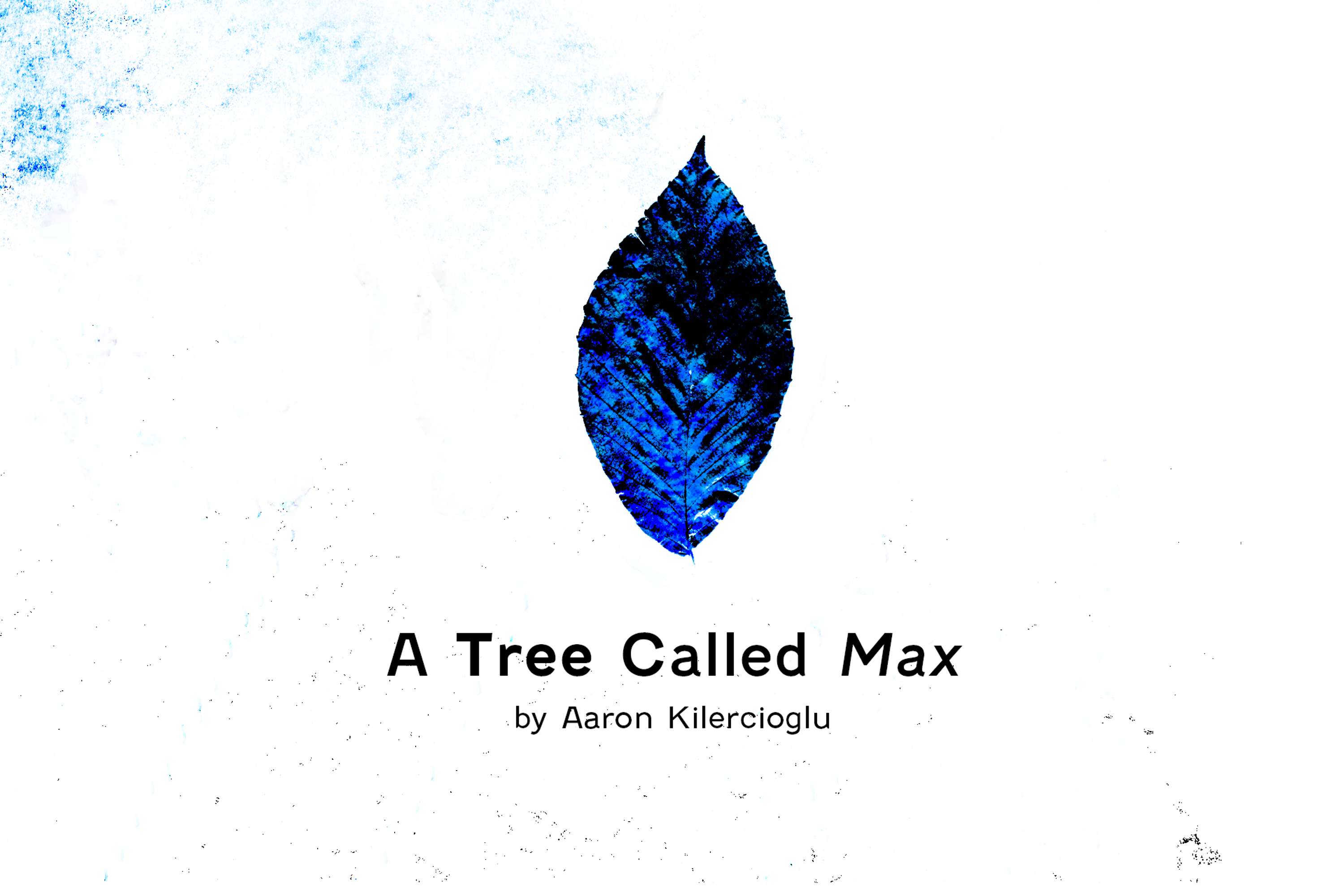 A Tree Called Max by Aaron Kilercioglu by Ciaran Walsh