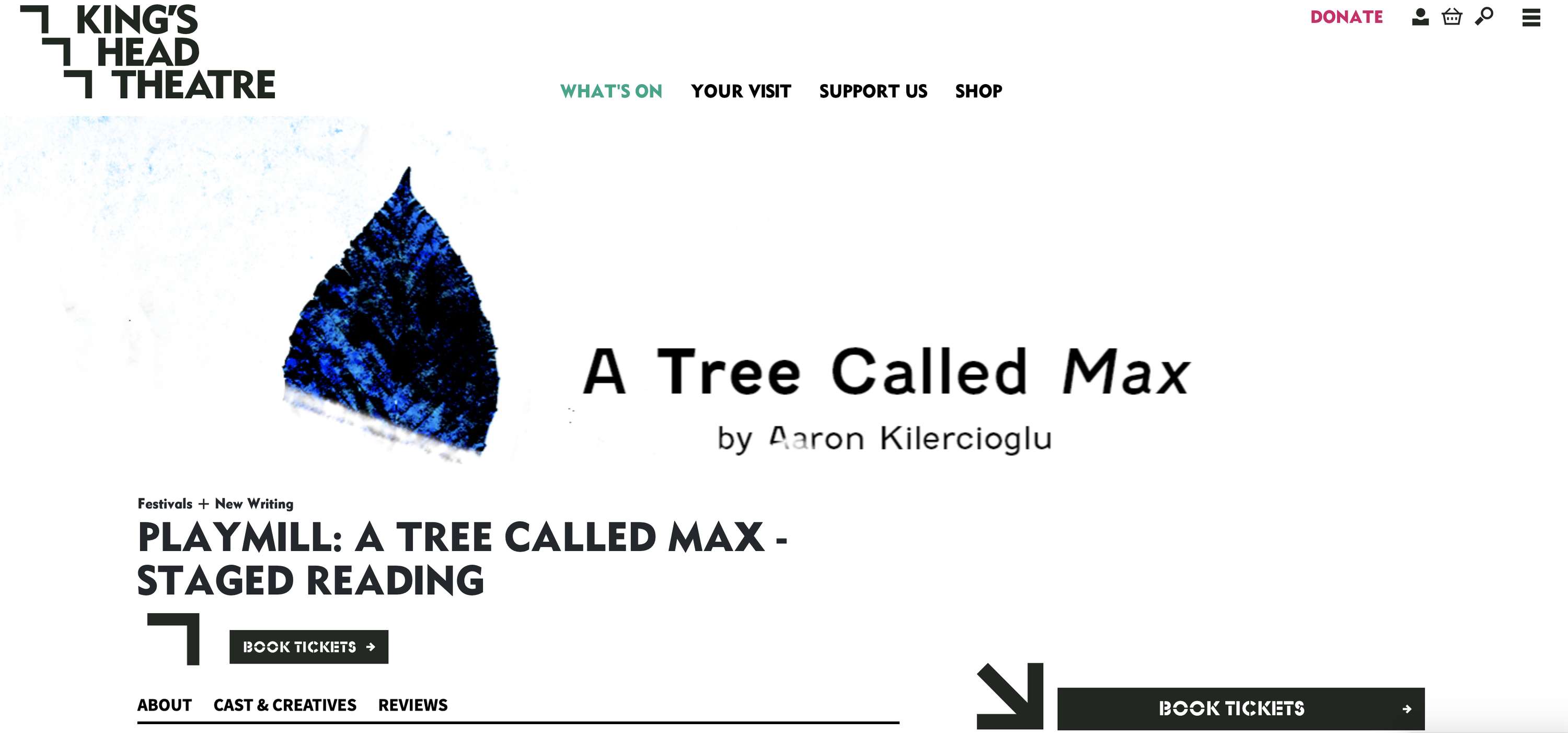 A Tree Called Max by Aaron Kilercioglu by Ciaran Walsh