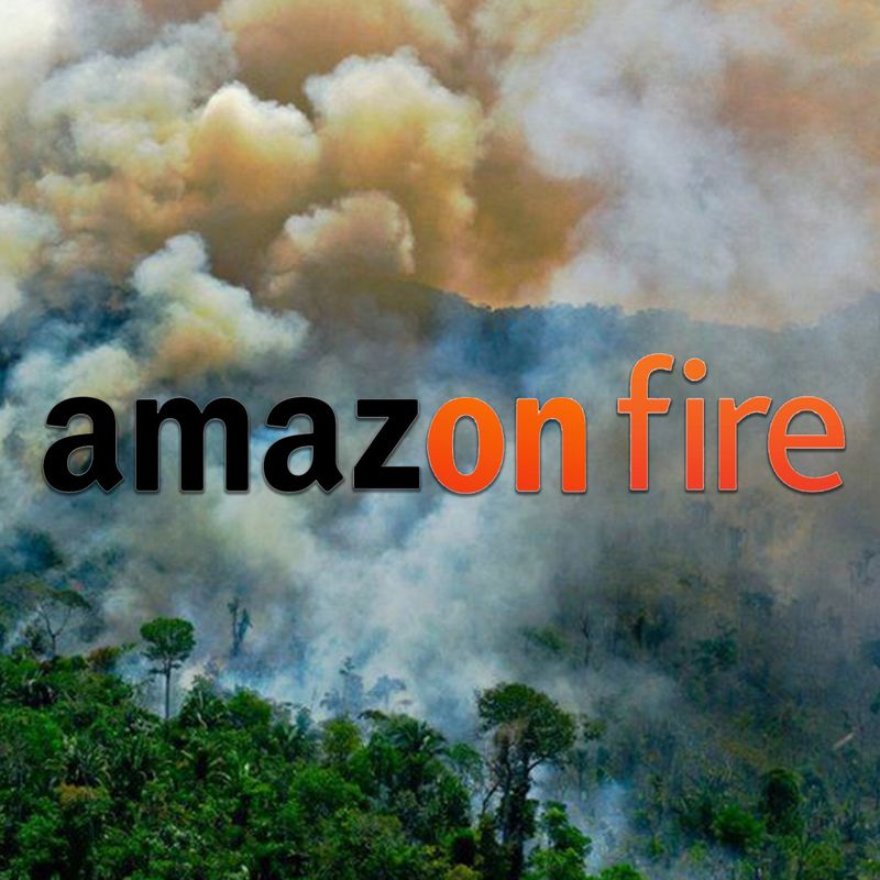 AMAZON RAINFOREST by Francesca Morgan