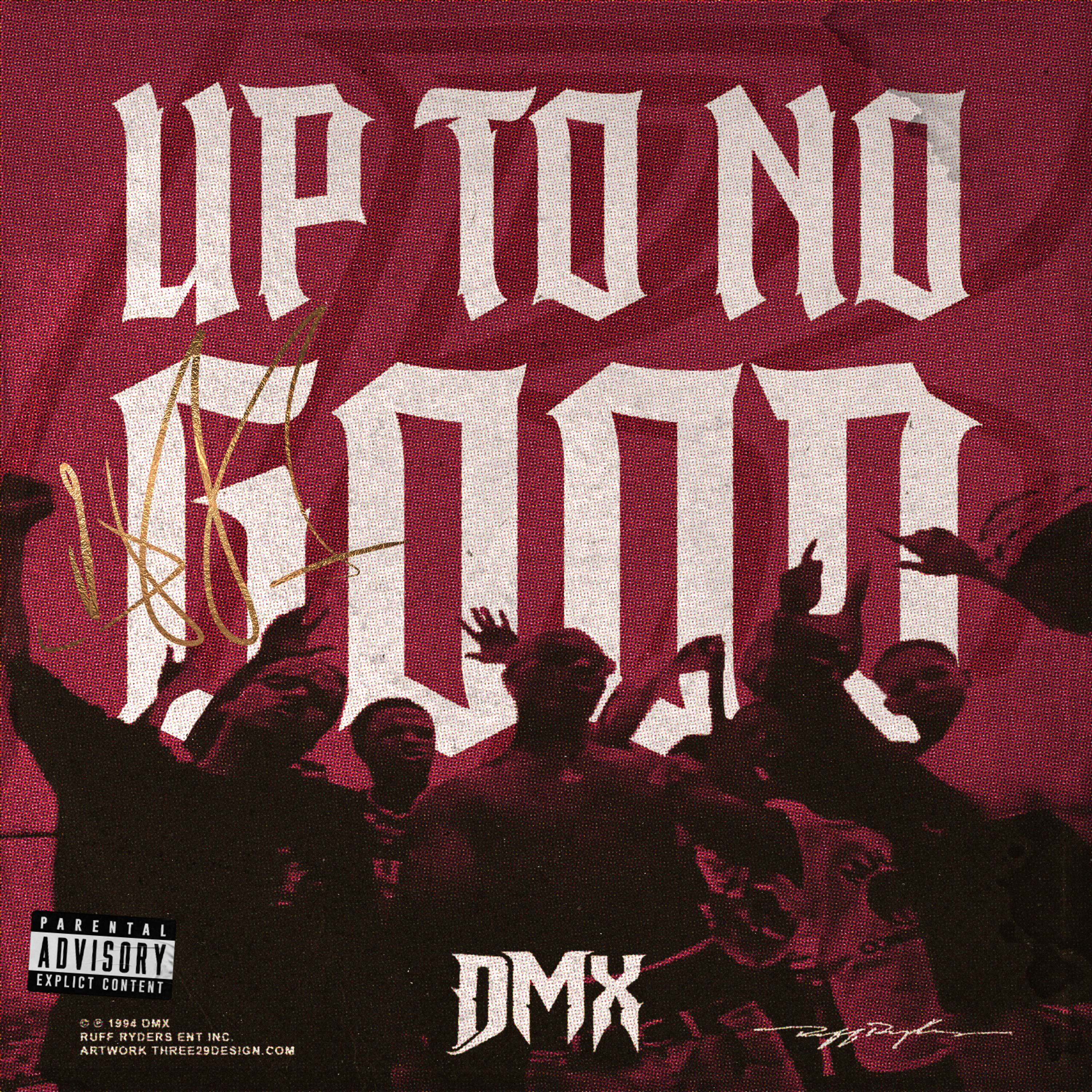 Reimagined DMX cover art by Livia Lucie