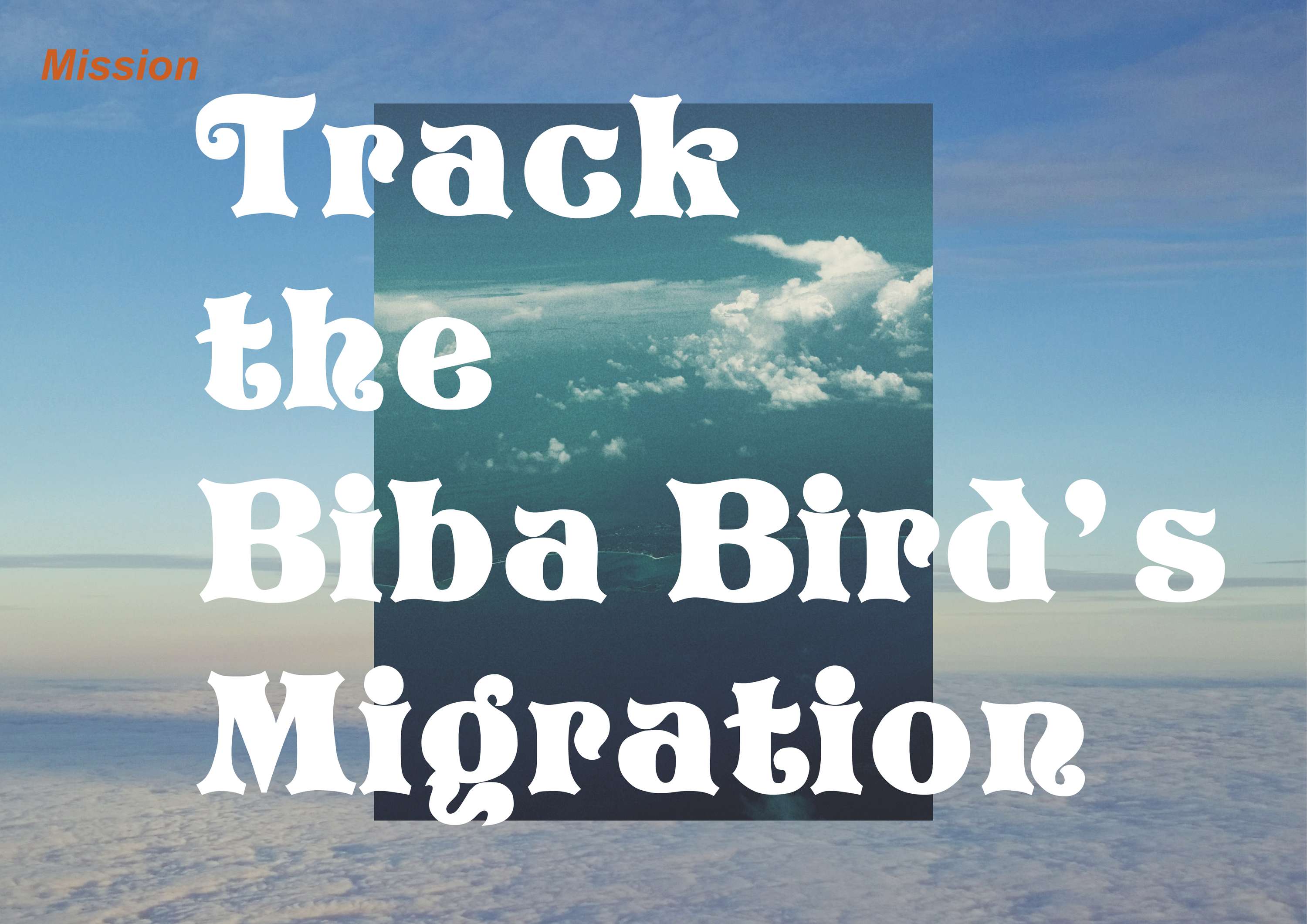 BIBA Rebranding Project by Kenechi 