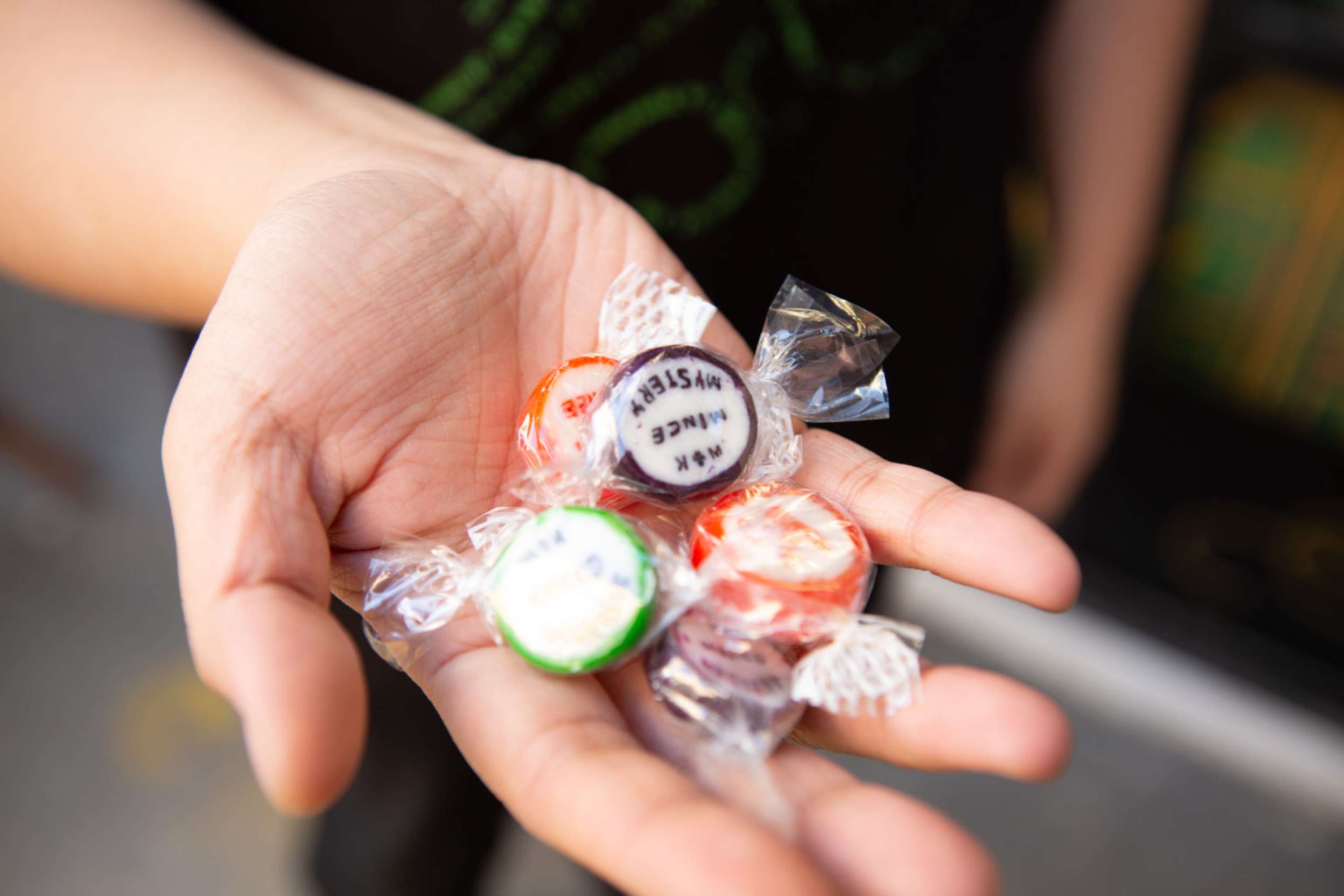 Curious Confectioners by Lakhi Soni