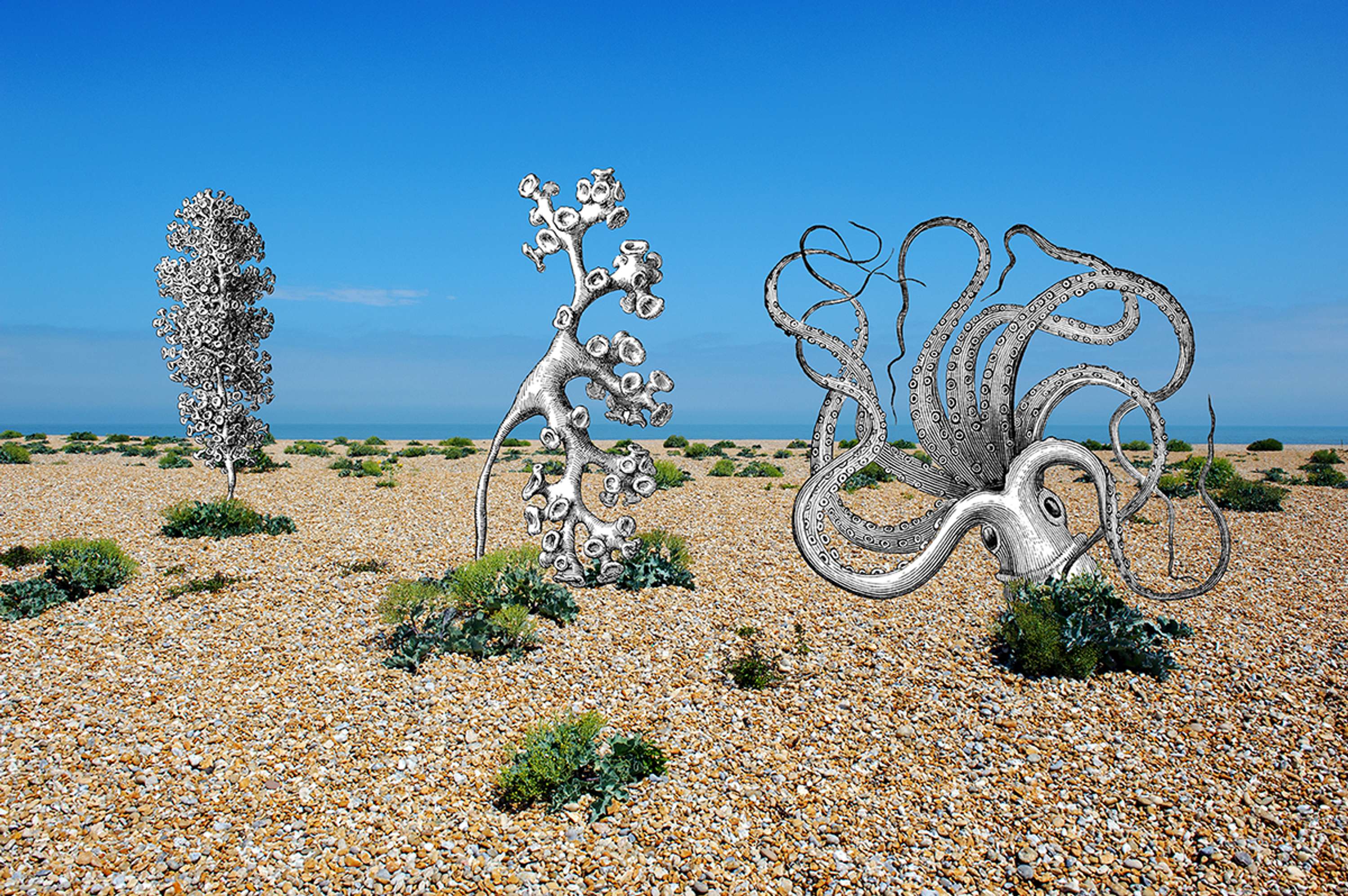 cut out and keep by Bronwen Hyde