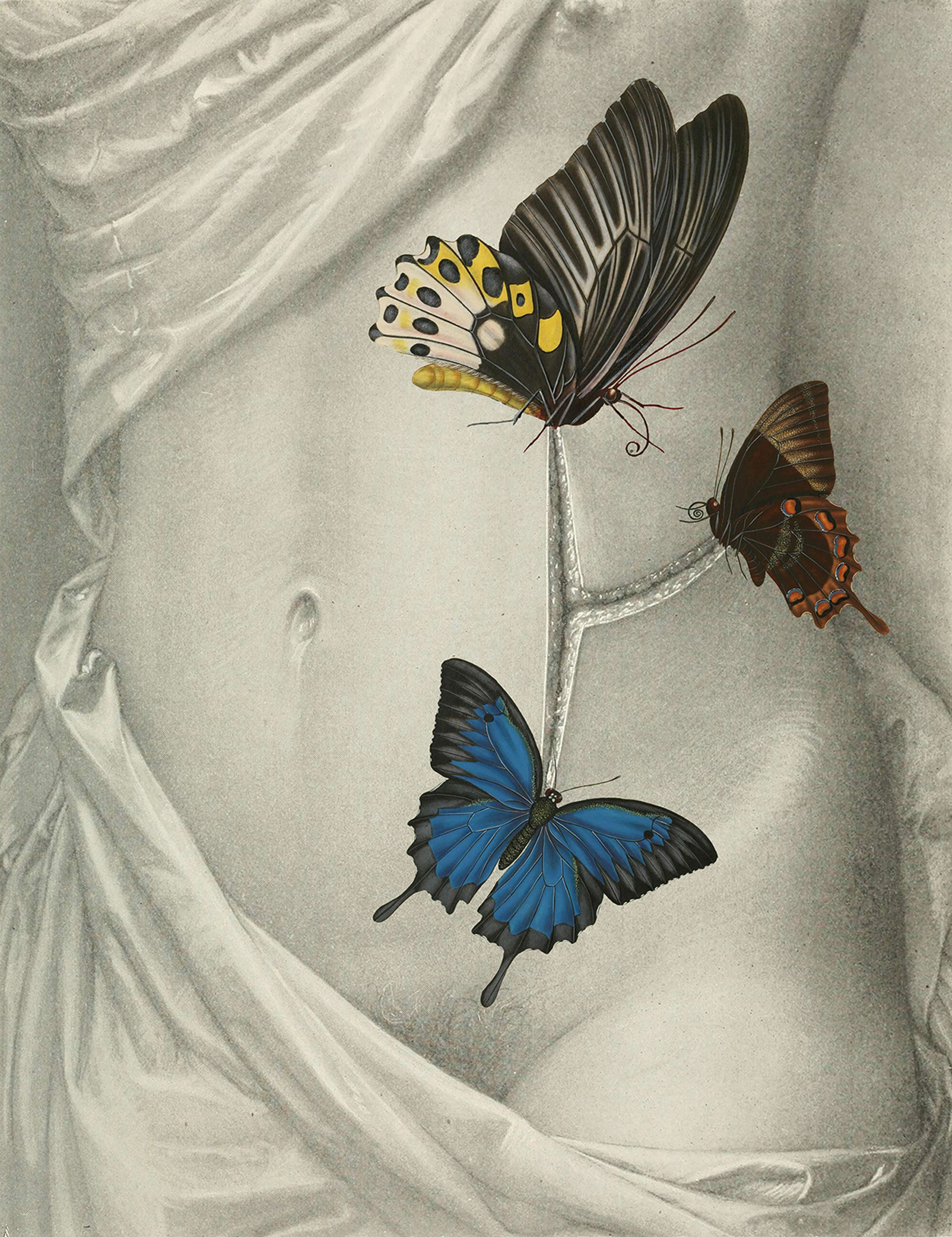 cut out and keep by Bronwen Hyde
