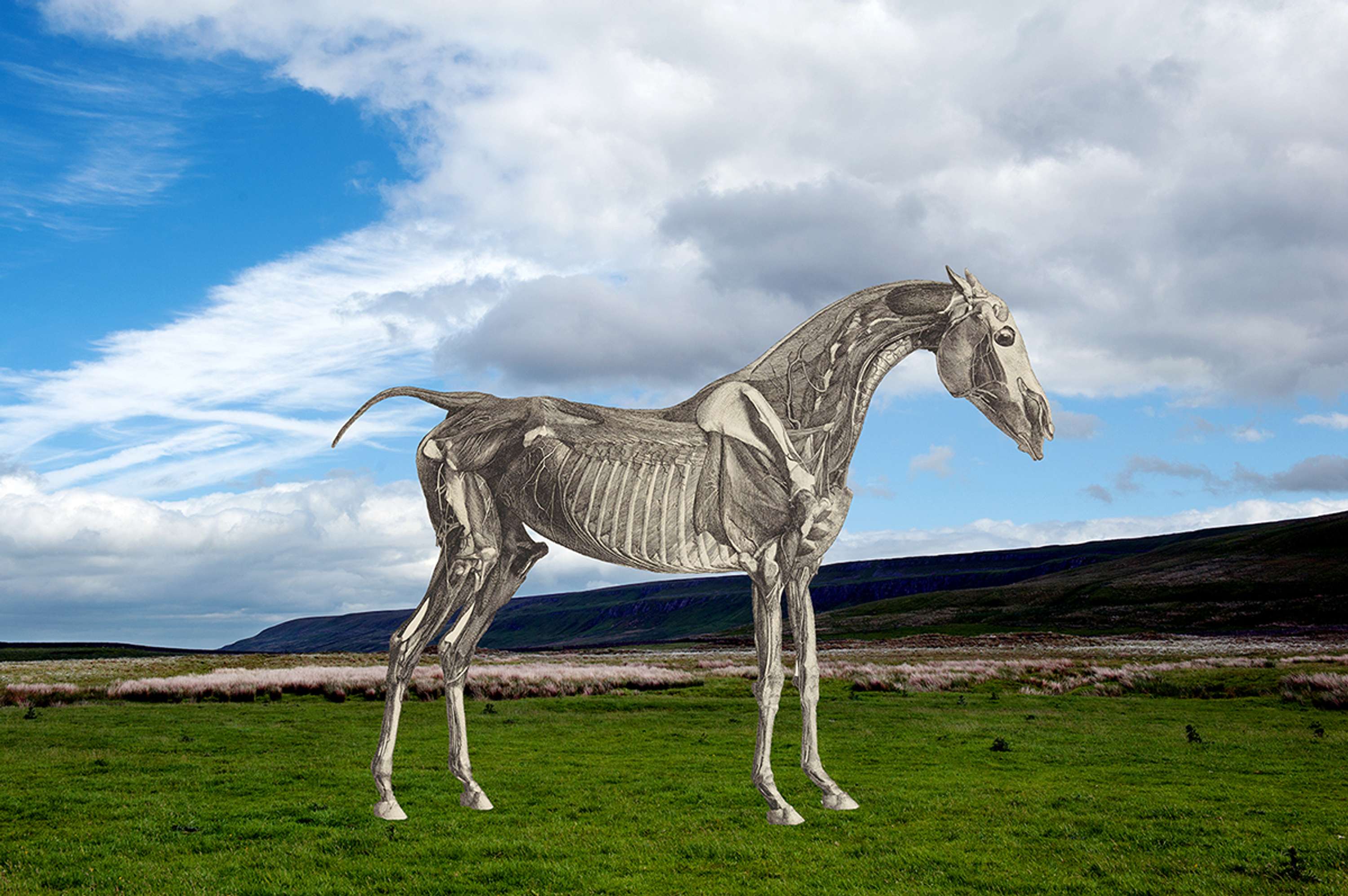 cut out and keep by Bronwen Hyde