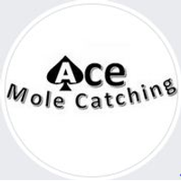 Ace Mole Catching logo