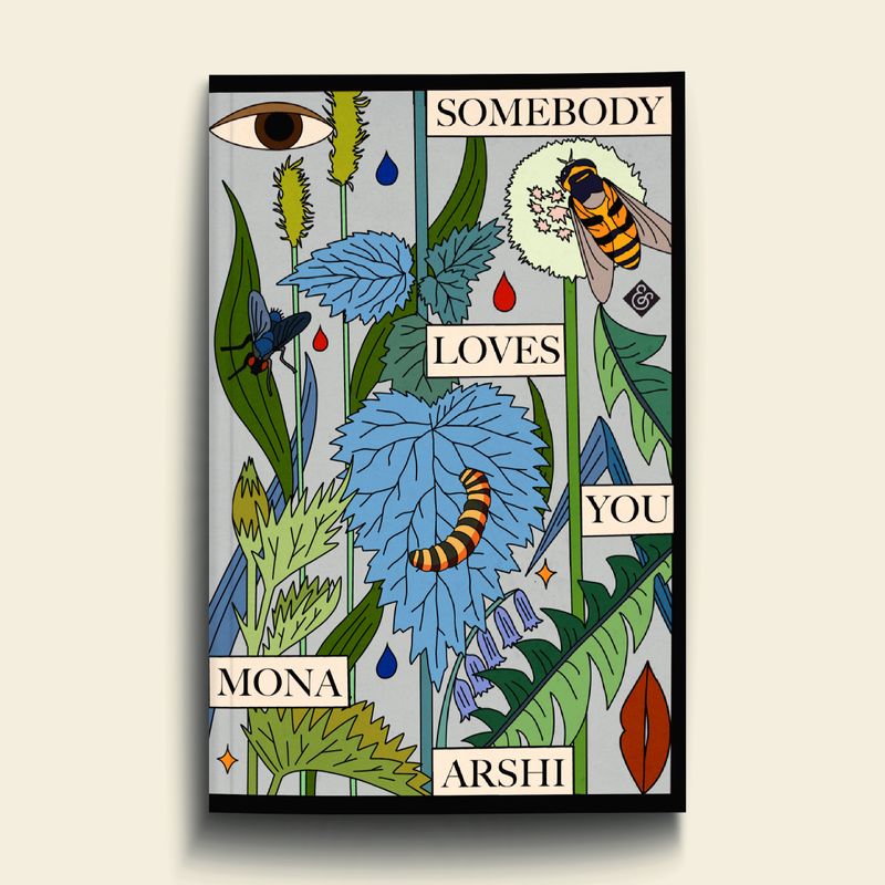 Somebody loves you by Mona Arshi by Holly Ovenden