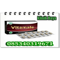 Jual Obat Vitamale Asli Alamat Di Malang 085340319671 Tahan Lama logo