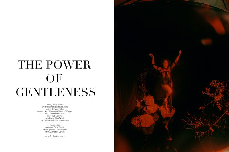 The Power of Gentleness by Becky Namgauds