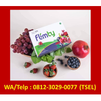 Agen Flimty Intan Jaya| Wa/Telp: 0812-30229-0077 (Tsel) Distributor Flimty Intan Jaya logo