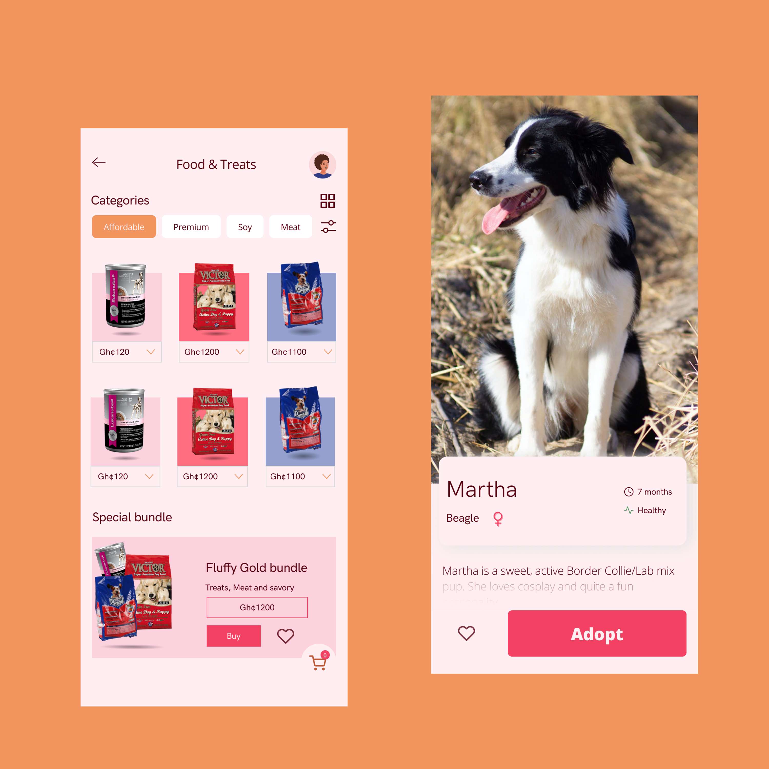 Dog App Concept UI by Hakeem Adjei