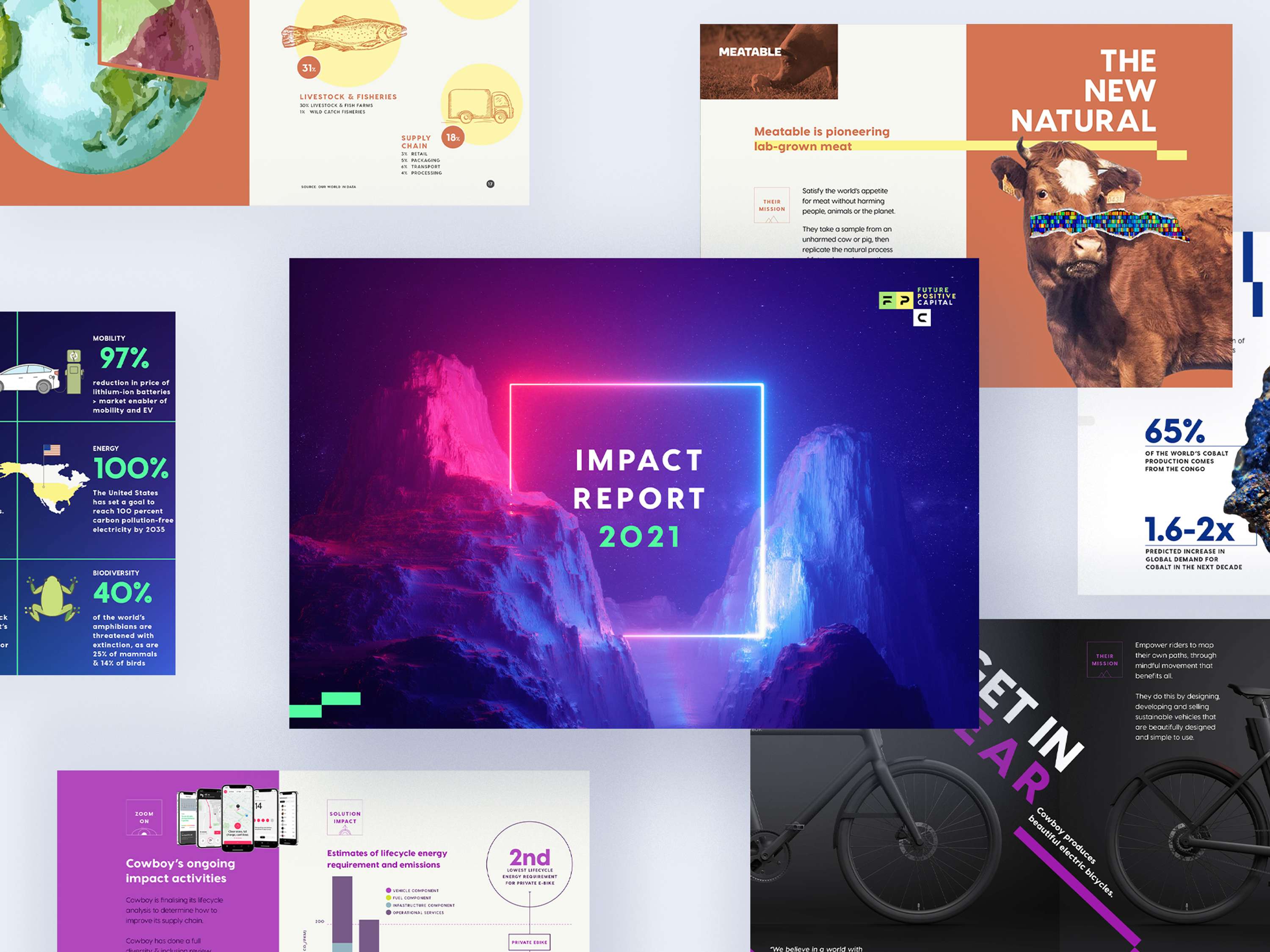 IMPACT REPORTS by Tahir Iqbal