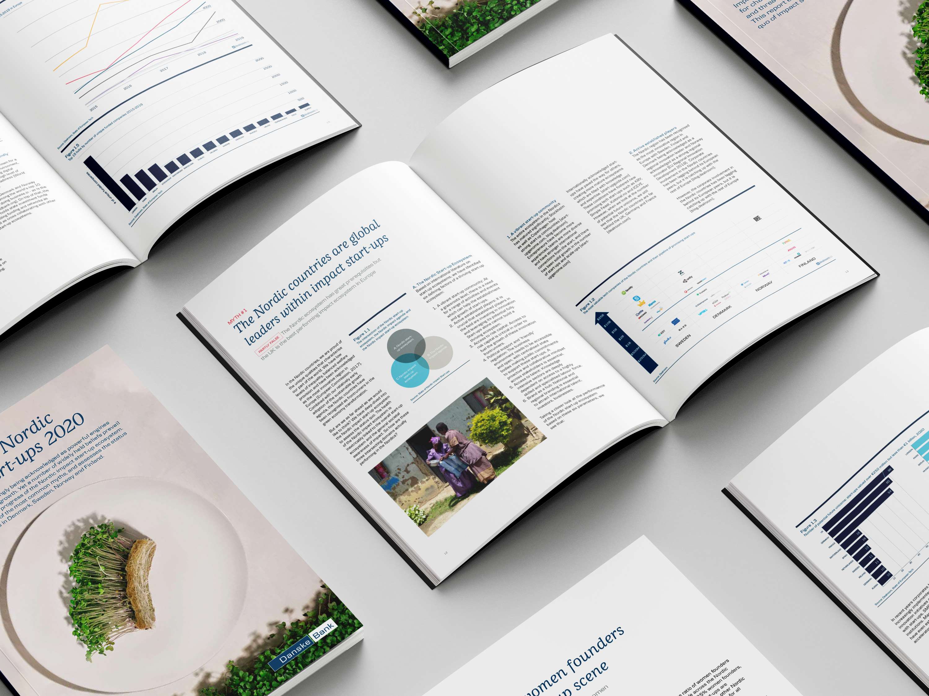 IMPACT REPORTS by Tahir Iqbal