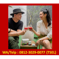 Agen Flimty Deli Serdang|WA/Telp: 0812-3029-0077 (Tsel) logo