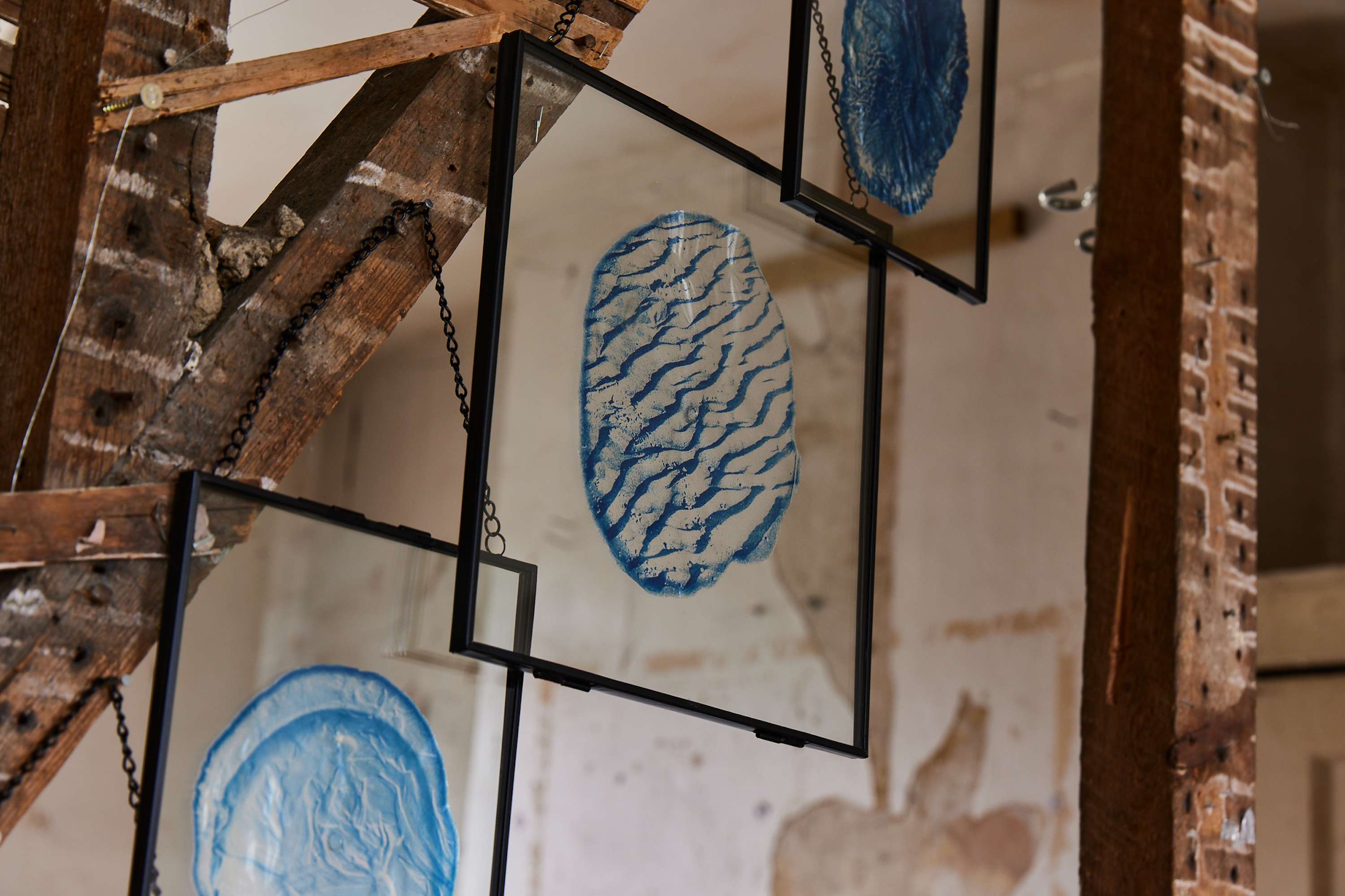 MA Art and Science Degree Show by Martha Gray