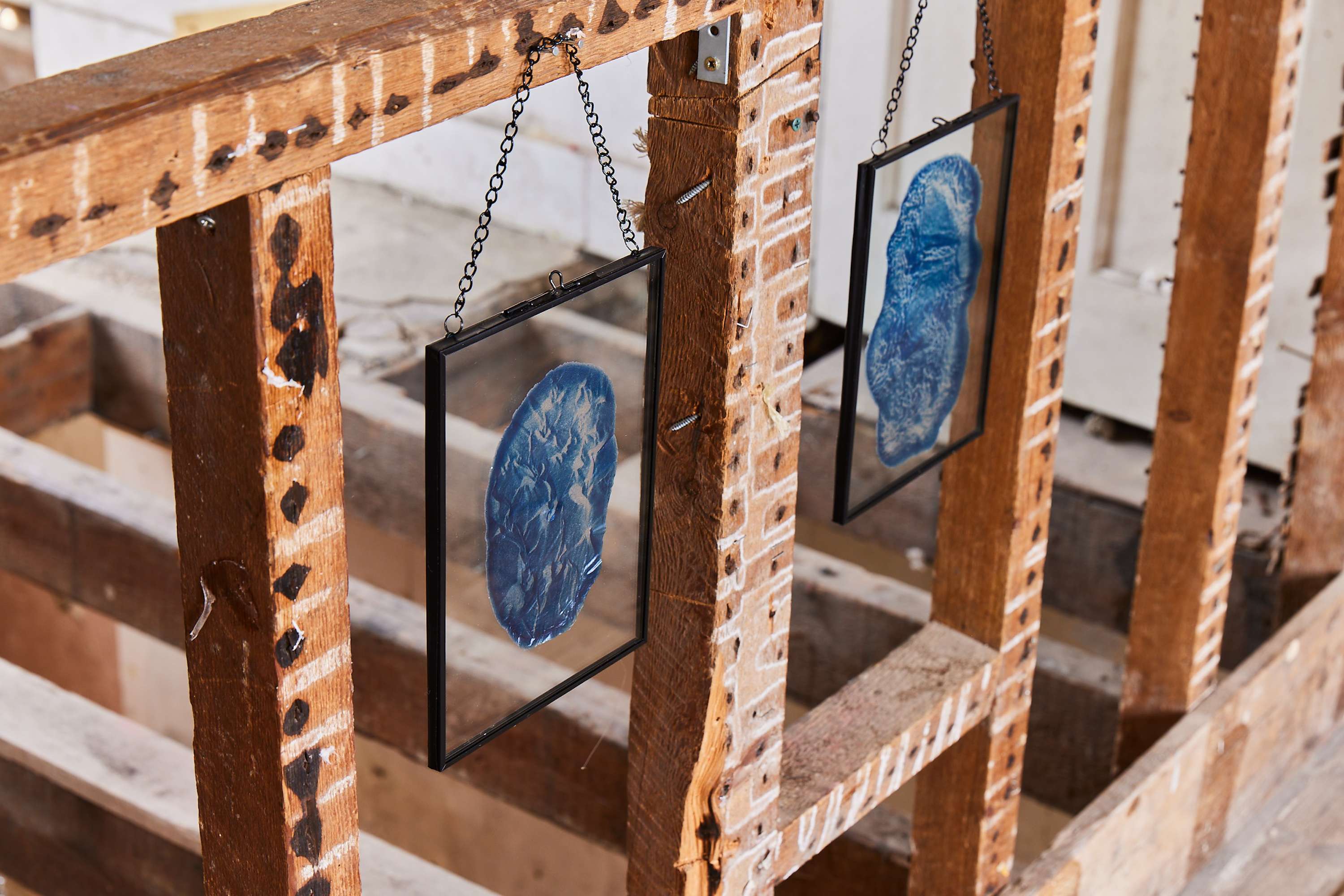 MA Art and Science Degree Show by Martha Gray