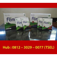 Agen Flimty Lumajang | WA/Telp : 0812-3029-0077 (TSEL) Distributor Flimty Lumajang logo
