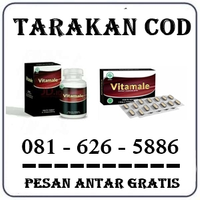 Jual Obat Vitamale Di Tarakan 0816265886 logo