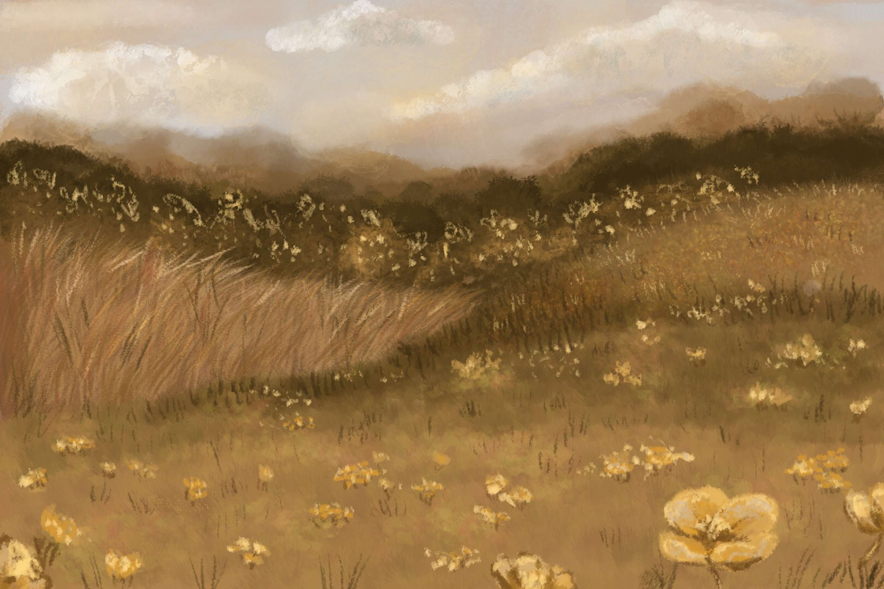Illustrations- selected environments by Ashleigh Nicole
