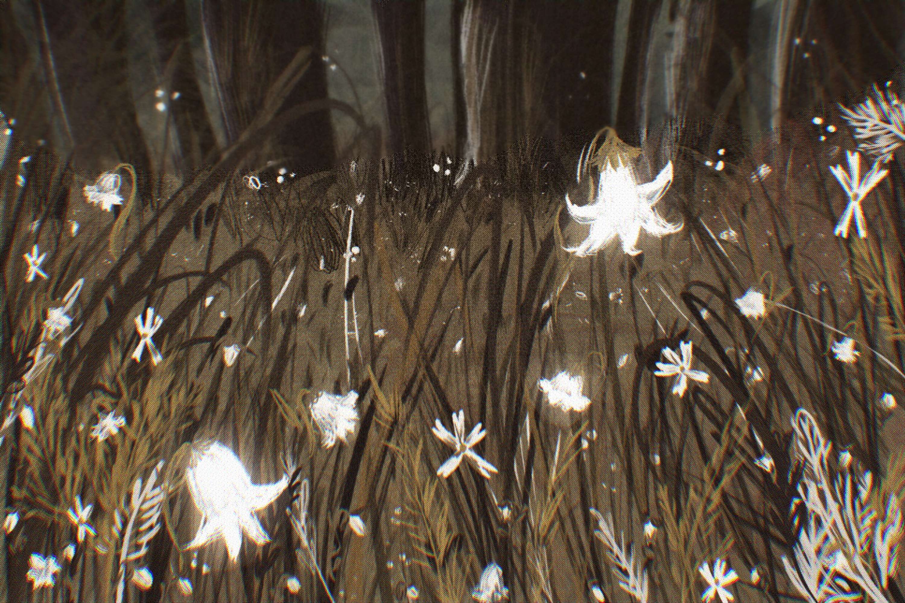 Illustrations- selected environments by Ashleigh Nicole