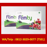 Agen Flimty Aceh Tenggara WA/Telp: 0812-3029-0077 (Tsel) distributor Flimty Aceh Tenggara logo